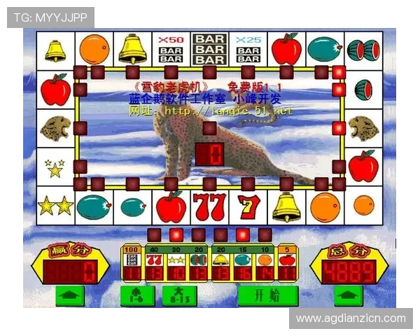 如何快速打开老虎机国际入口实现无障碍游戏体验的方法介绍